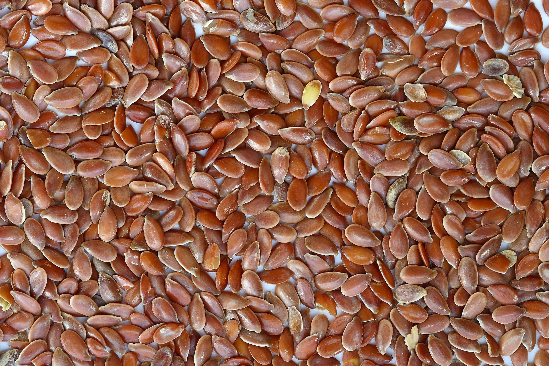 Brown Flax Seeds